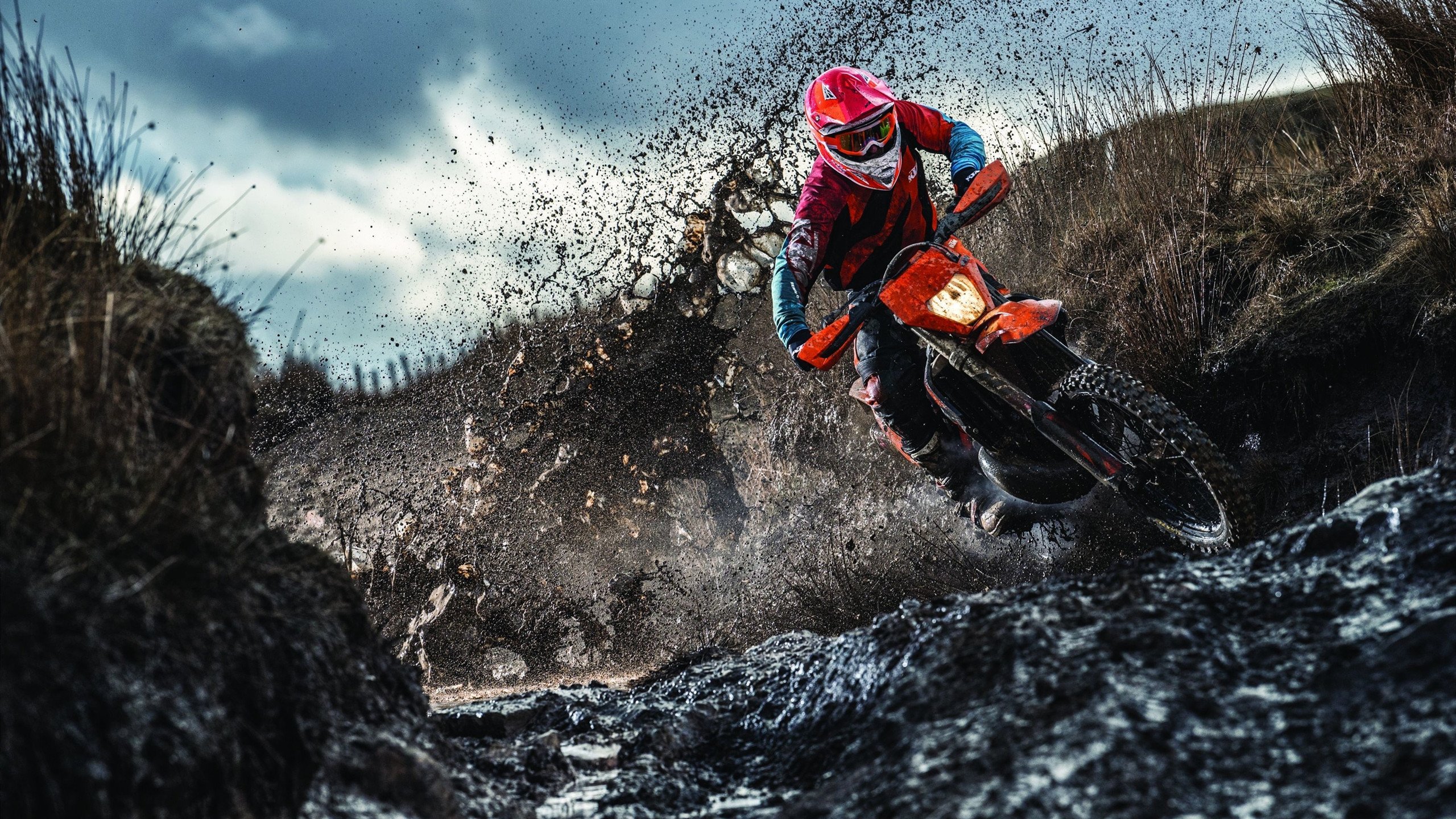 “青训基地建设提速，打造高水平成长平台”，青训营在哪里