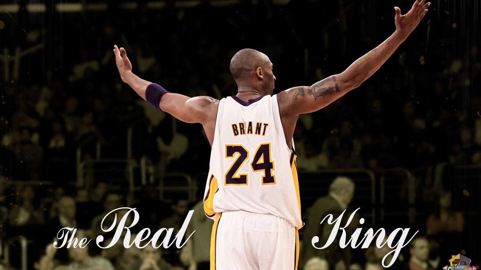 AYX体育-青训“飞跃”计划：多地打造高水平青少年篮球训练基地，青少年篮球培训招生简章